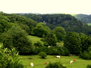 Blick zum chinesischen Häuschen