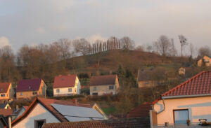 Foto: Andreas Raddatz