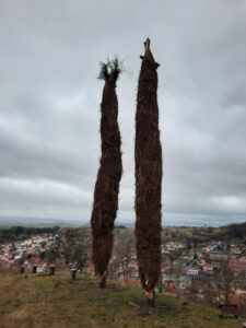 Foto: Thomas Mieling